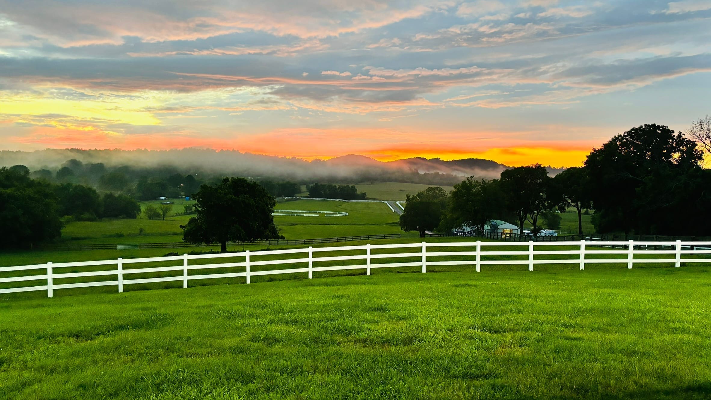 A moment at the farm