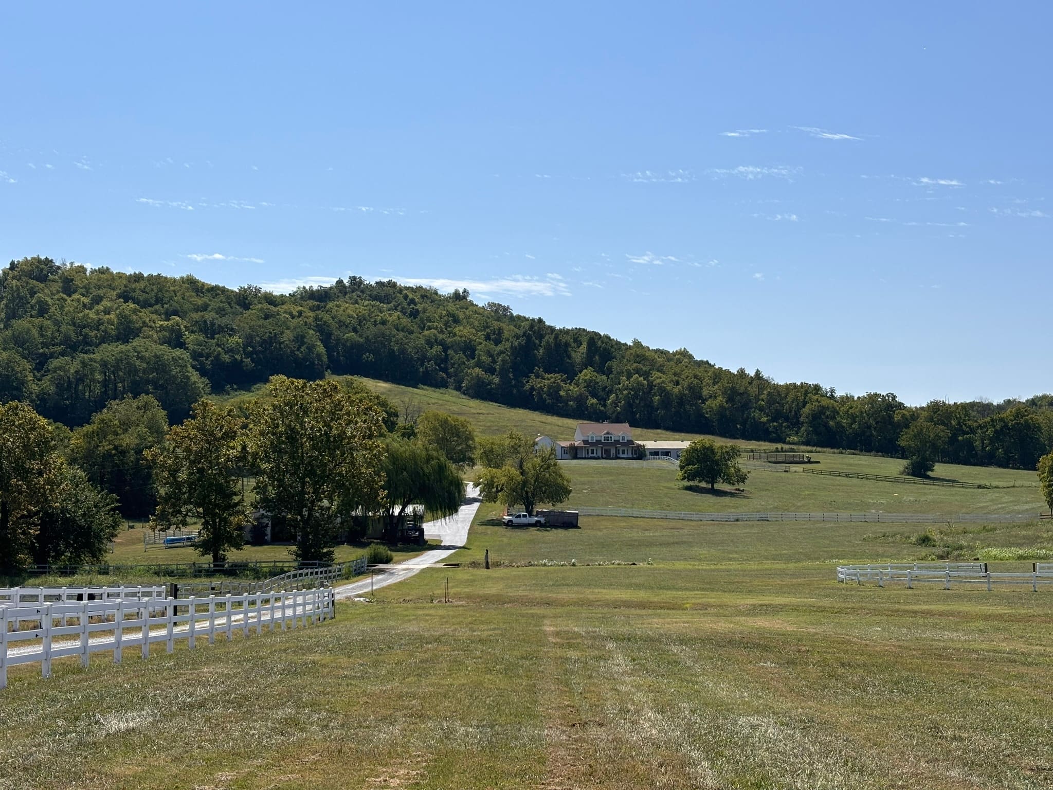 A moment at the farm