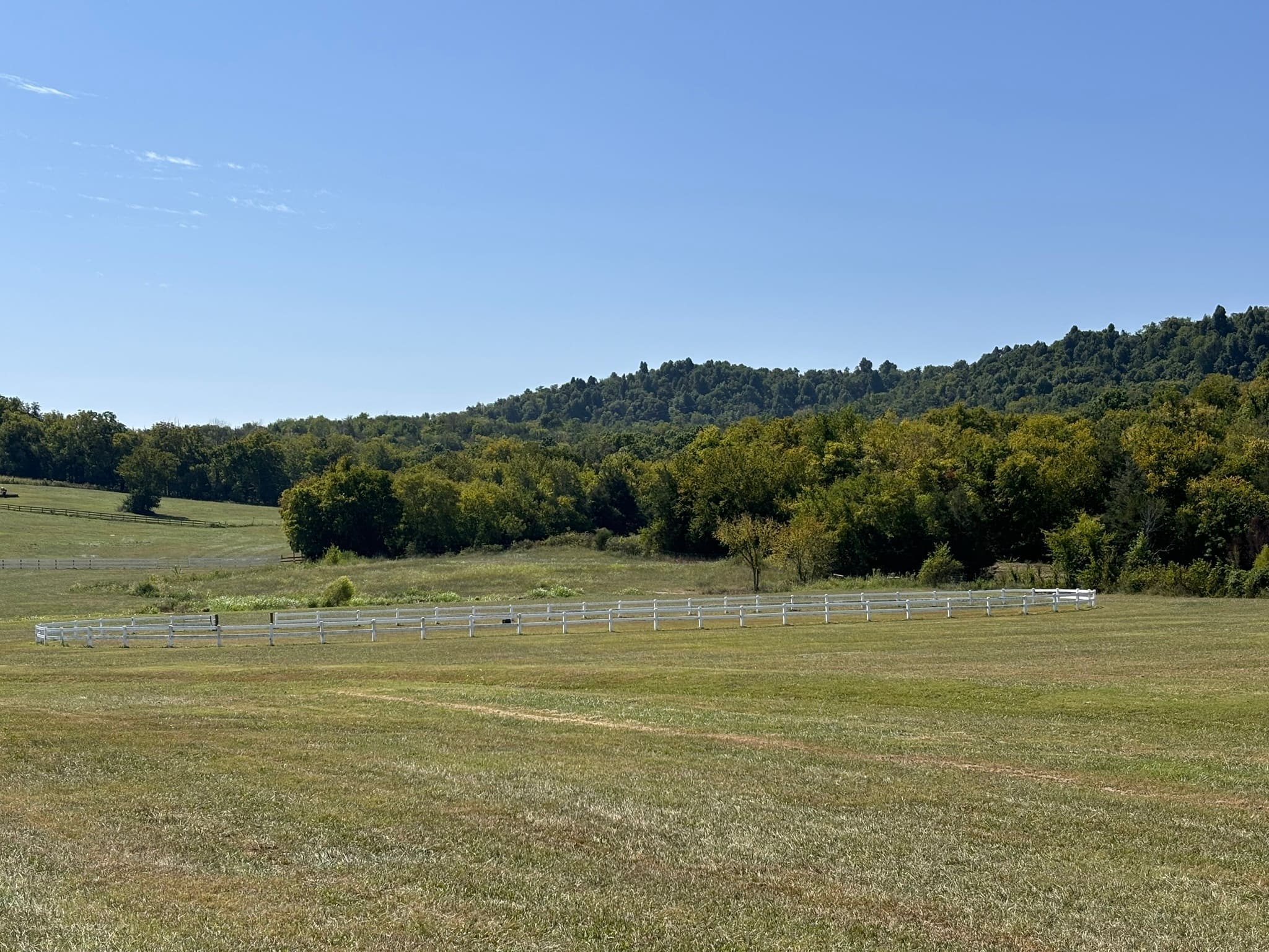 A moment at the farm