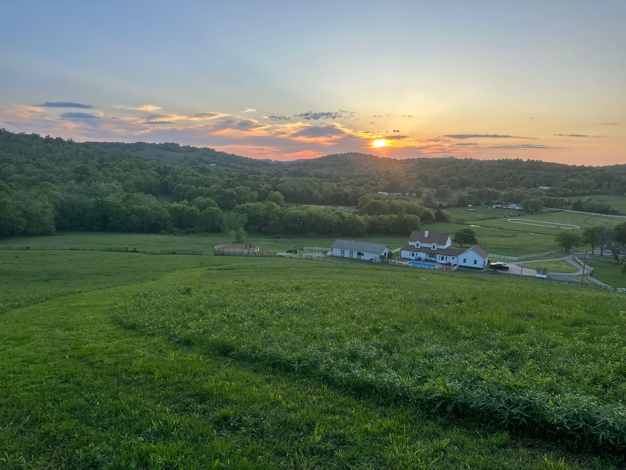 Golden-hour view across the pasture