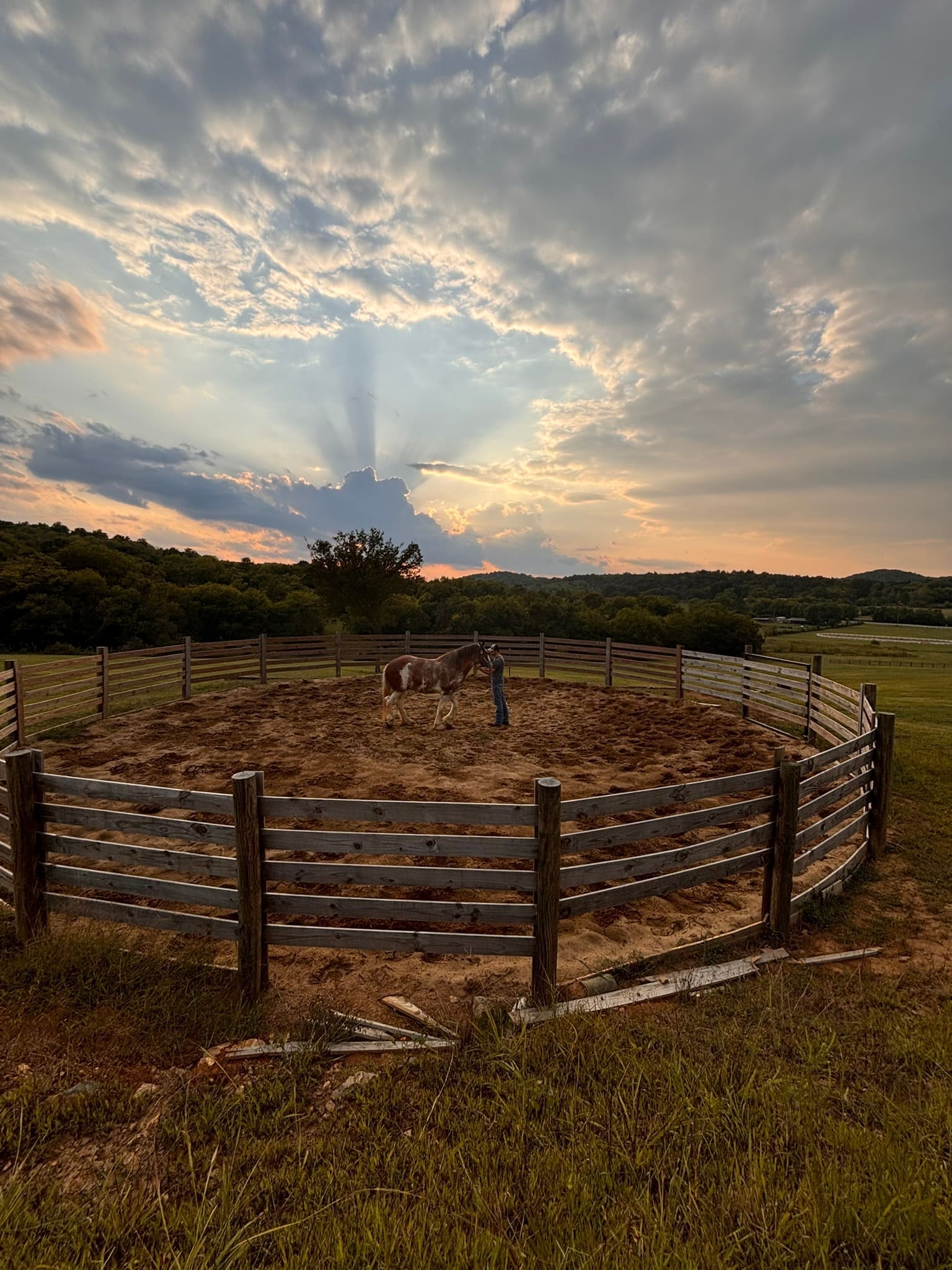 A horseman working a draft horse in the round pen at sunset, with godrays through the clouds
